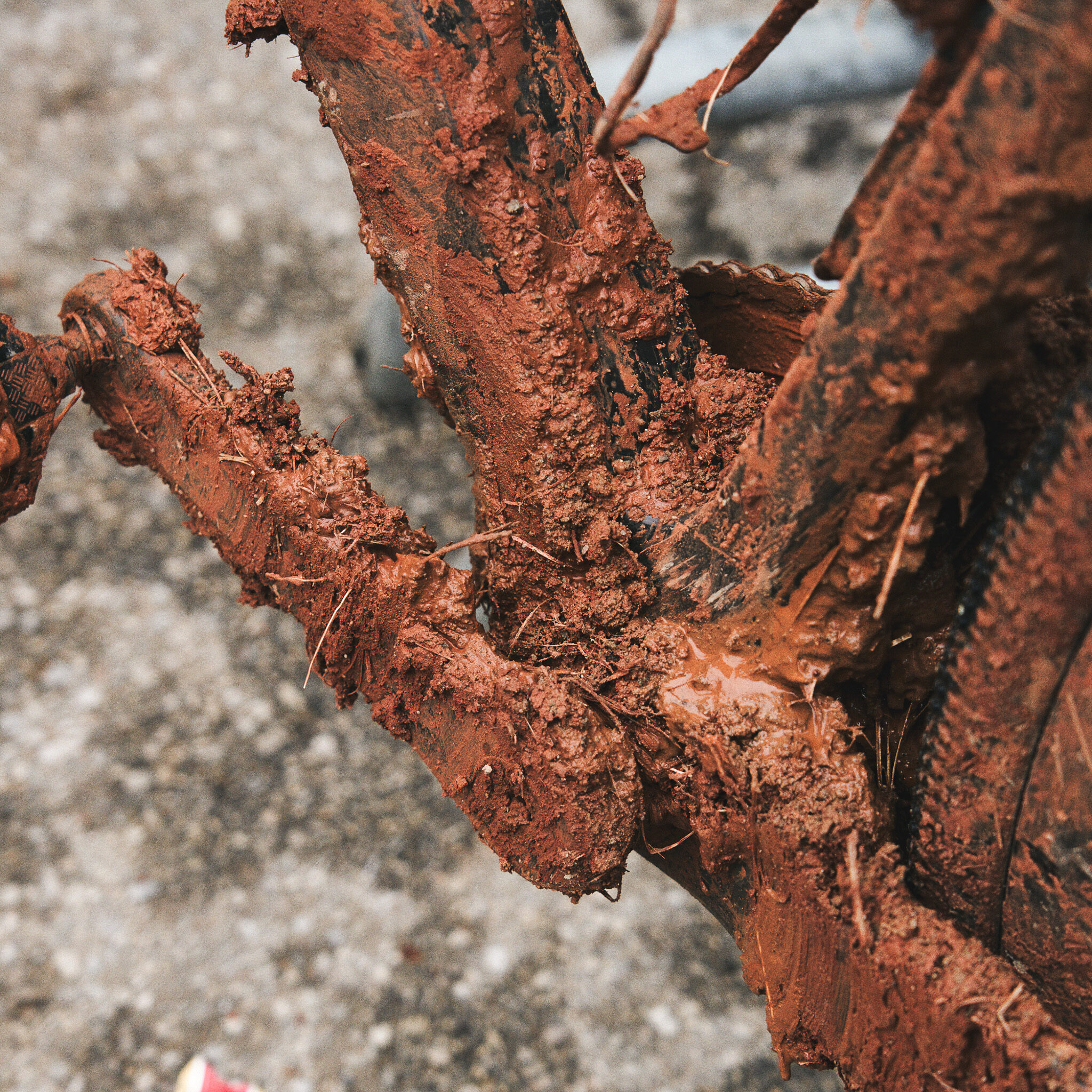 Gravel Mudd Close Up SQ